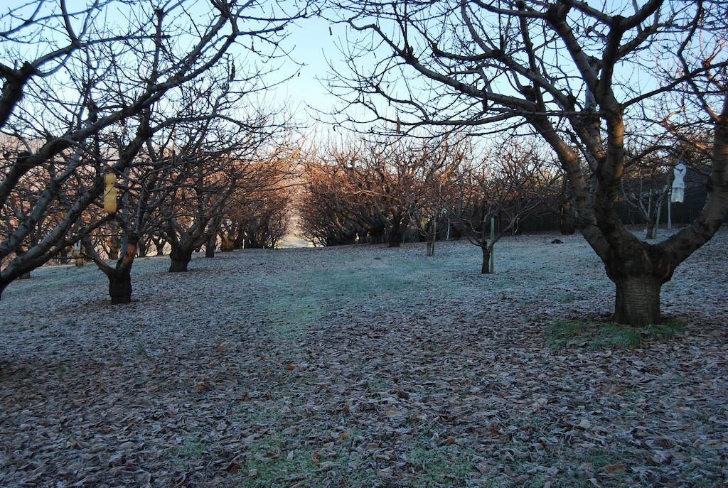 Tenuta Fortelongo Fara Vicentino Exteriör bild