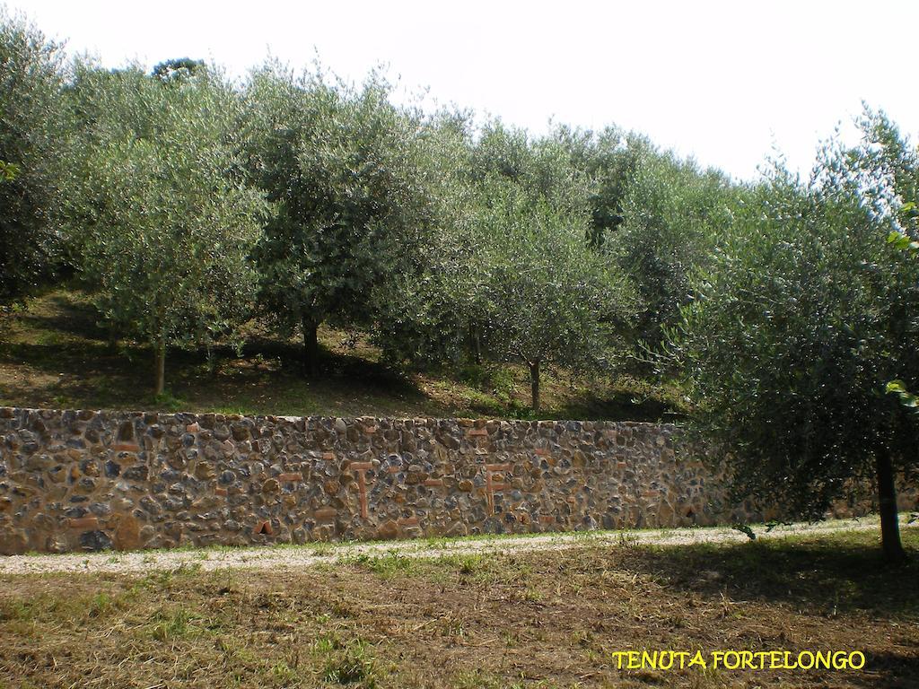 Tenuta Fortelongo Fara Vicentino Exteriör bild
